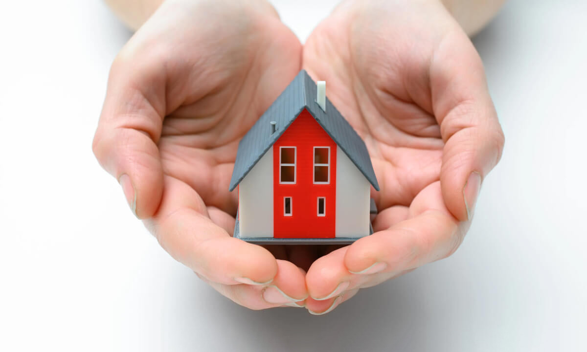 hands holding a tiny house